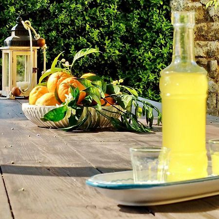מטה B&B Villa Elisa מראה חיצוני תמונה