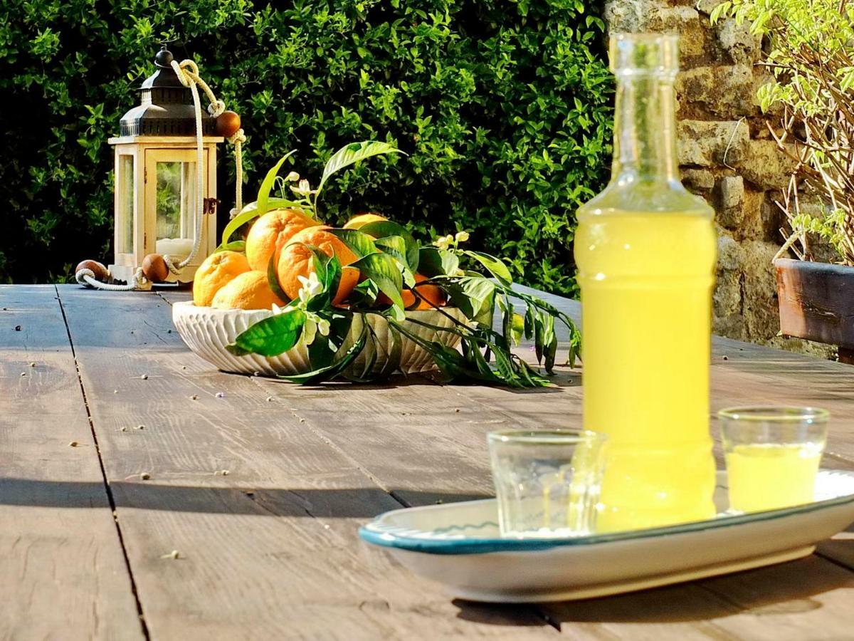 מטה B&B Villa Elisa מראה חיצוני תמונה