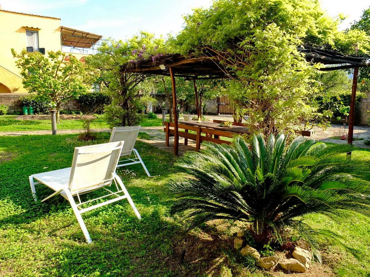 מטה B&B Villa Elisa מראה חיצוני תמונה